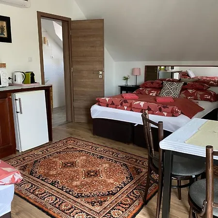 Helga Vendeghaz Guest house *