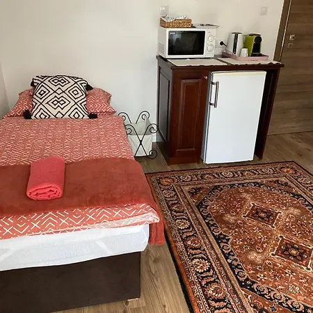 Helga Vendeghaz Guest house Budaors