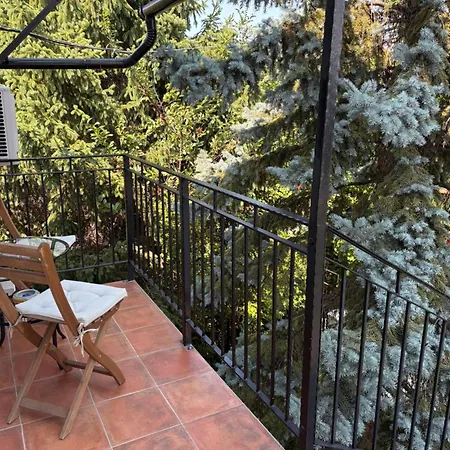 Helga Vendeghaz Guest house