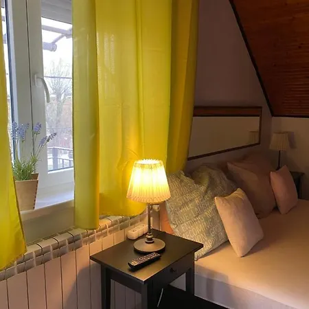 Gasthuis Helga Vendeghaz 3*