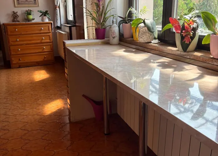 Helga Vendeghaz Budaors